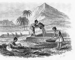 تاريخ الألماس: من مناجم الهند القديمة إلى المختبرات الحديثة.