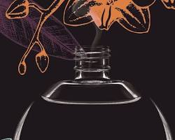 "عطر الذهب": كيف تدمج أرقى دور المجوهرات بين المعدن الثمين والروائح العطرية النادرة؟